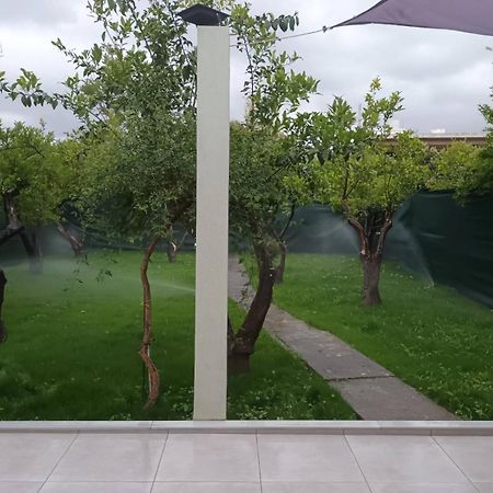 Olgas Cozy Home Chania  Exterior photo